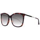 Jimmy Choo Braune Frauen Sonnenbrille