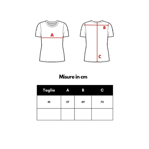 Dsquared² T-Shirt aus grauer Baumwolle