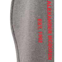 Alexander McQueen Schicke graue Hose aus Baumwollmischung